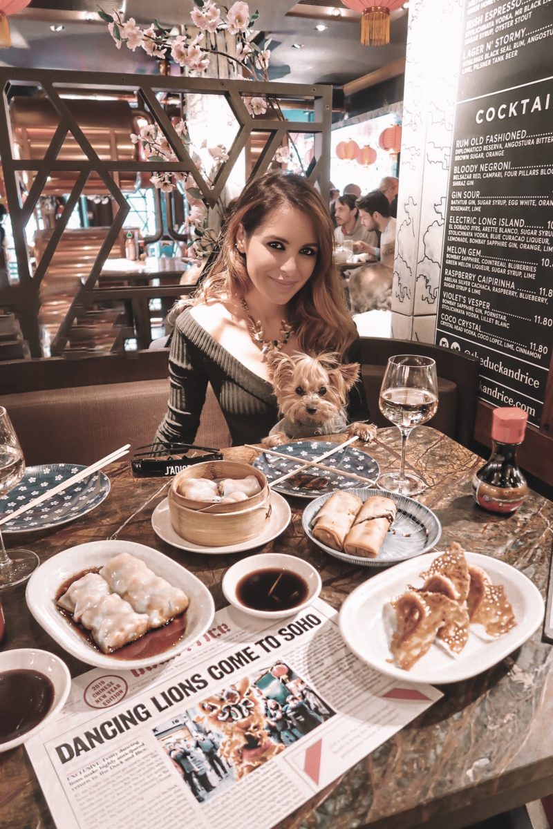 Best dog-friendly places to visit in London