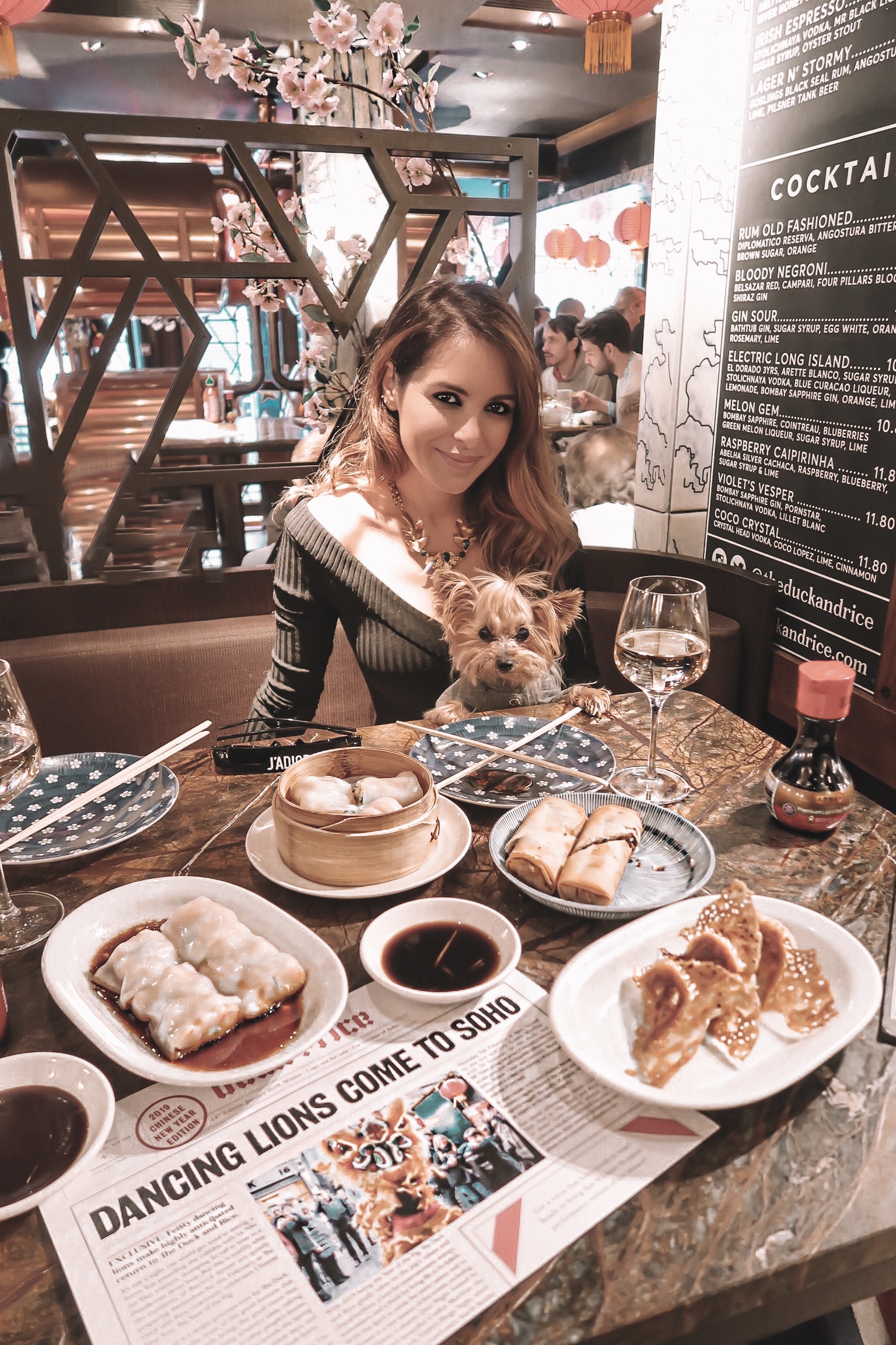Best dog-friendly places to visit in London restaurants hotels